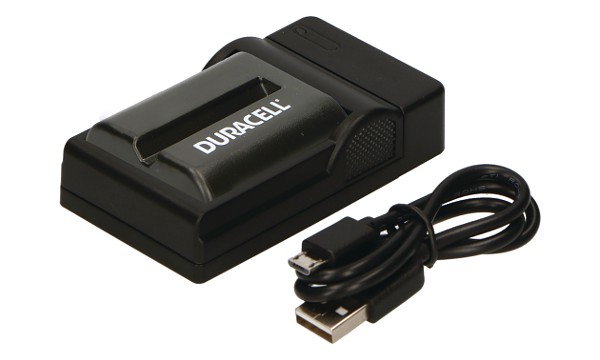 CCD-RV100 Charger