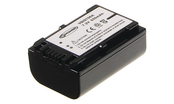 NP-FV70 Battery (2 Cells)