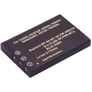 RDC -4300 Battery