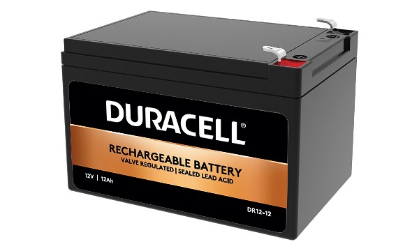 RT12120 Battery