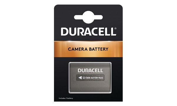 DCR-DVD304E Battery (2 Cells)