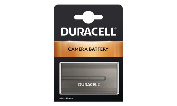 DCR-SC100E Battery (2 Cells)