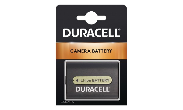 DCR-DVD810 Battery (2 Cells)
