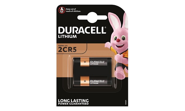 DL245 Battery