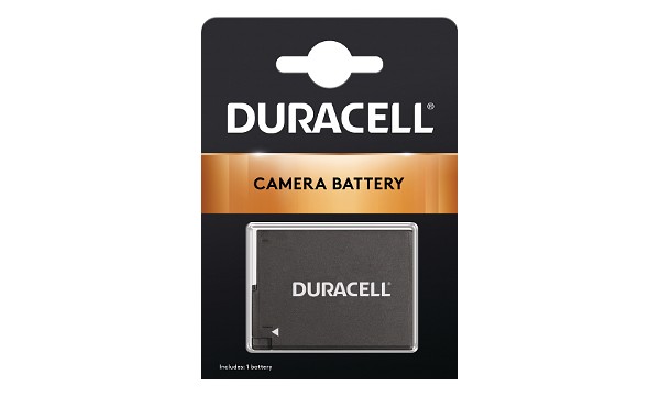 DMW-BLC12GK Battery (2 Cells)