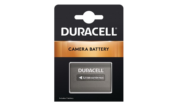 DCR-SR190E Battery (2 Cells)